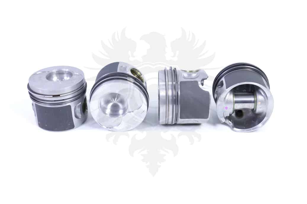 Piston Set, 1.9L TDI Standard ASV
