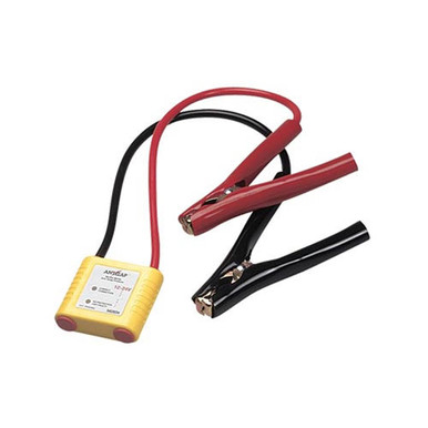 12 Volt Antizap Service Minder