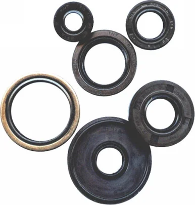 Winderosa Oil Seal Set – 822223