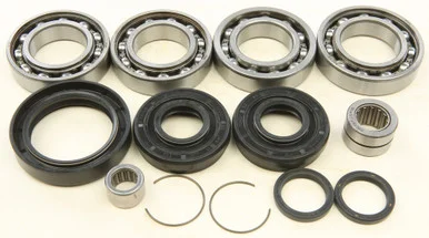 All Balls Front Differential Bearing And Seal Kit – 25-2100