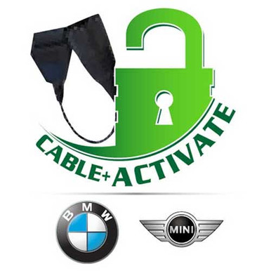 AutoEnginuity Enhanced Interface for BMW and MINI (EI07)
