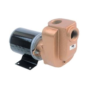 AMT Pumps4851-973/4 in Self-Priming Utility Pump