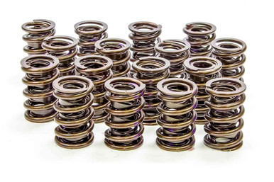 Isky 1.430in Valve Springs 6005