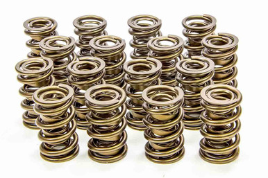 Isky 1.600 Valve Springs 9999RAD