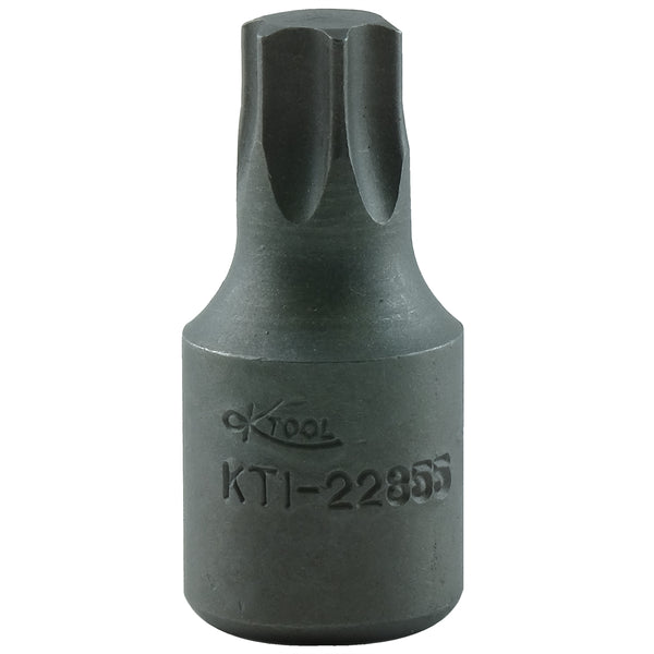T-55 3/8in.Torx Socket