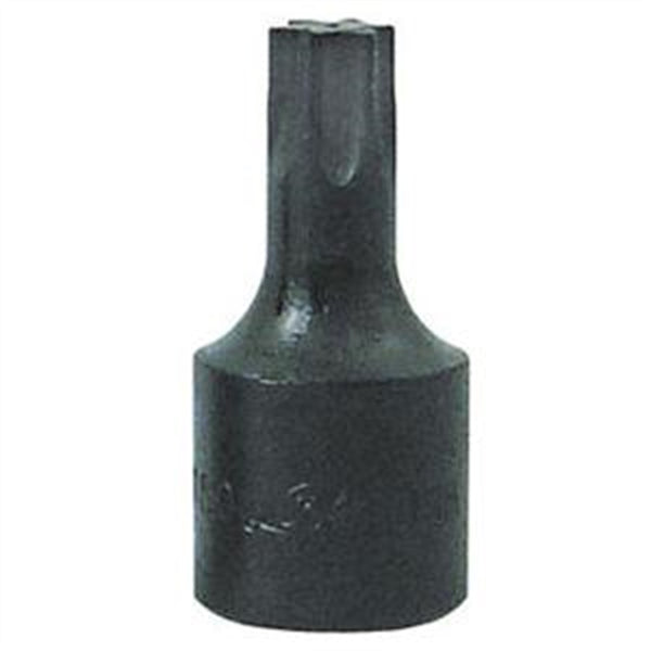 3/8in. Drive Torx Socket T-40