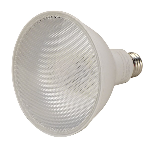 Skat Blast LED Floodlight Bulb