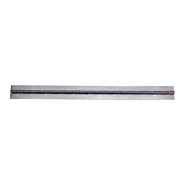 Skat Blast Continuous Side Door Hinge