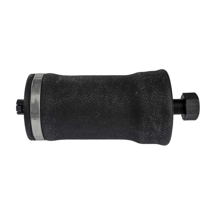 Firestone W02-358-7164 Cab Air Spring Replacement