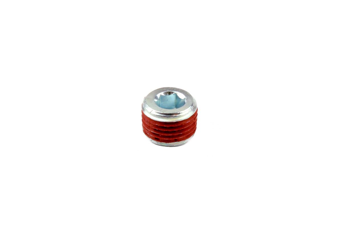 RaceFlux Steel Allen Socket Pipe Plug, 1'' NPT, with Sealant